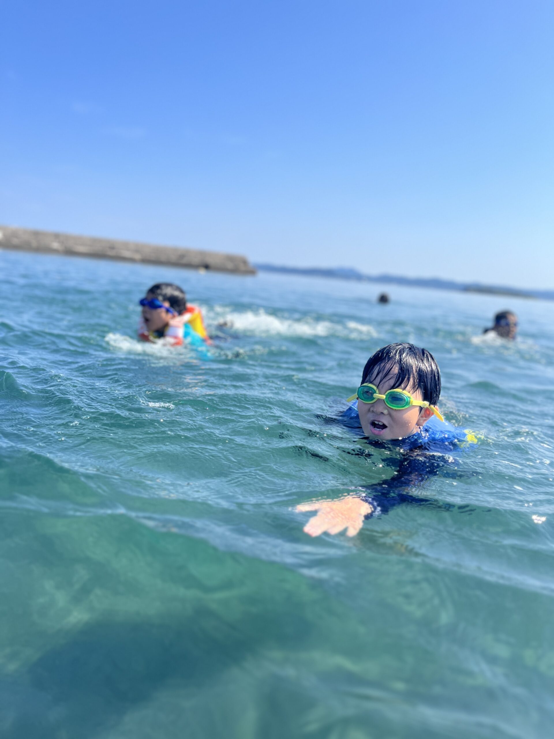 Tateyama beach activity